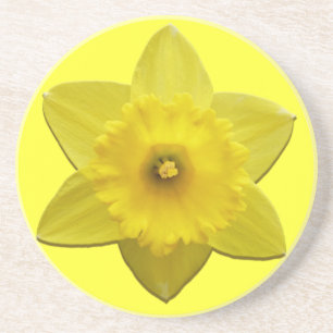 春の花コースターDaffoldilフラワーコースター コースター