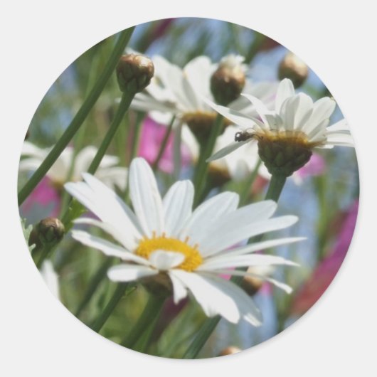 春の花シール ラウンドシール (正面)