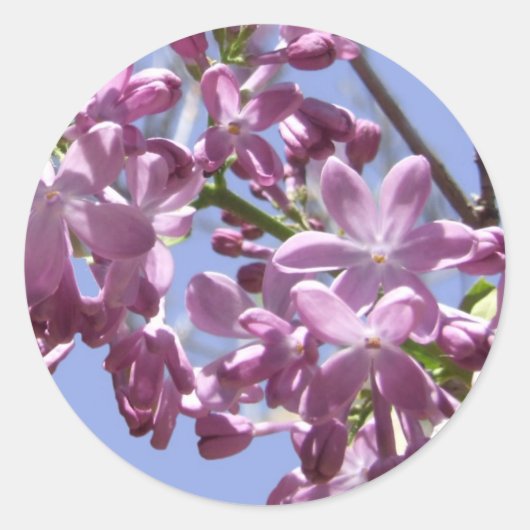 春の花シール ラウンドシール (正面)