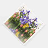 春の花ダッフォディル、チューリップ、クロッカス (コーナー)