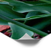 春の花チューリップピンクイエローパープルガーデン ポスター (角)