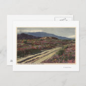 春の花畑を抜ける砂漠の道 ポストカード (正面/裏面)