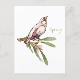 春の花鳥。雪だるま。 シーズンポストカード