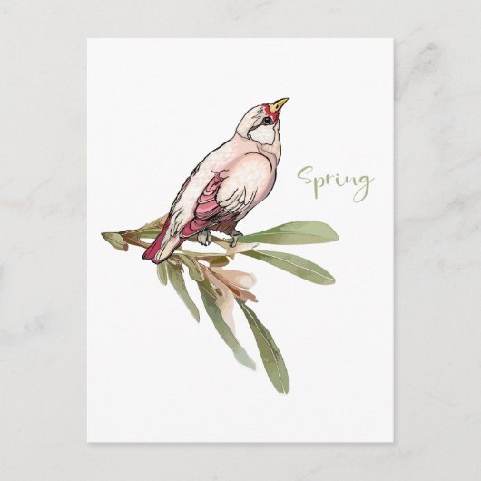 春の花鳥。雪だるま。 シーズンポストカード (正面)