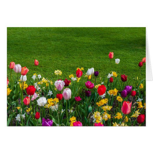 春の花 (正面横)