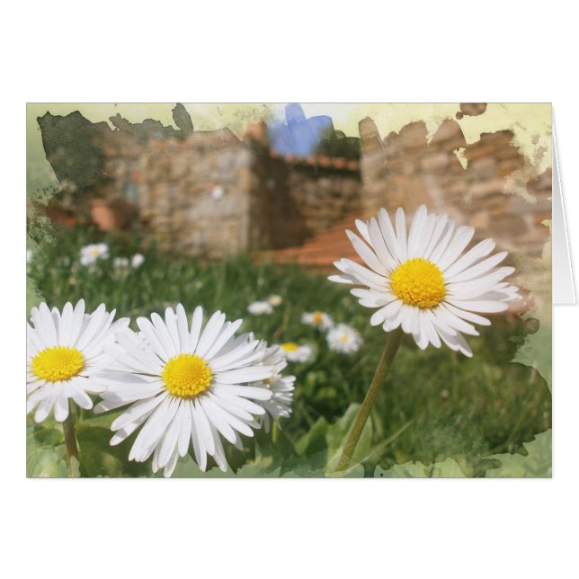 春の花 (正面横)