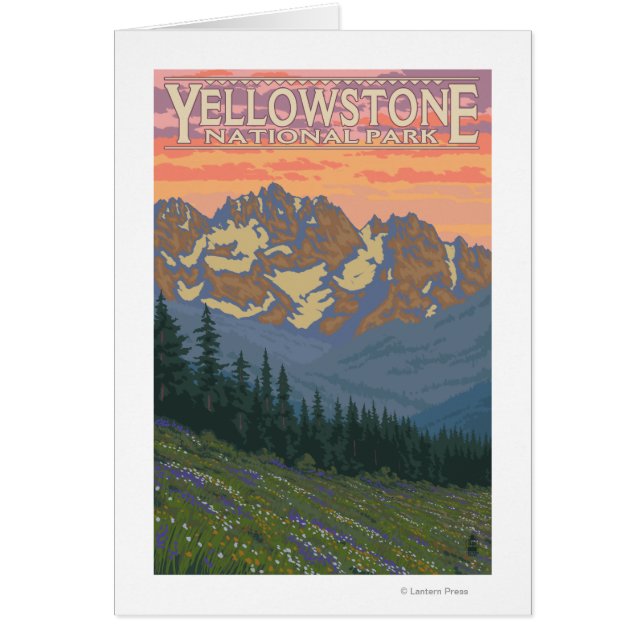 春の花-イエローストーン国立公園 (正面)