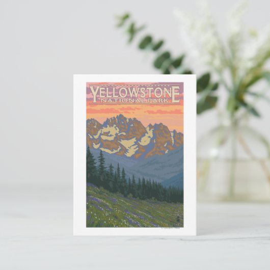 春の花-イエローストーン国立公園 ポストカード (スタンド正面)