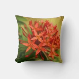 春の花，イースター，春,自然，オレンジ クッション