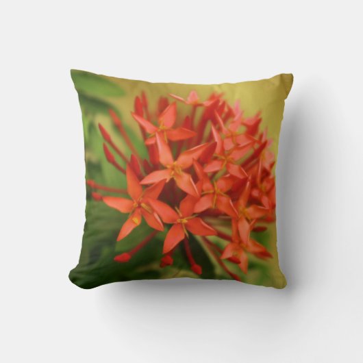 春の花，イースター，春,自然，オレンジ クッション (正面)