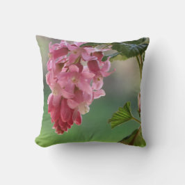 春の花，イースター，春,自然，ピンク クッション