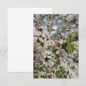 春の花 エンクロージャーカード (正面/裏面)