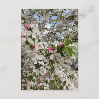 春の花 エンクロージャーカード