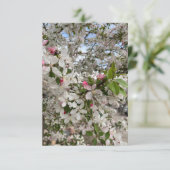 春の花 エンクロージャーカード (スタンド正面)