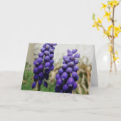 春の花 カード (黄色い花)