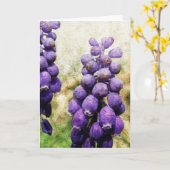 春の花 カード (黄色い花)