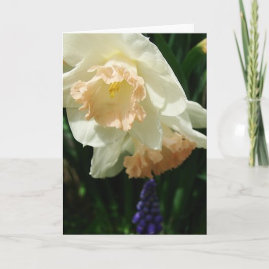 春の花 カード (正面)