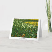 春の花 カード (裏面)