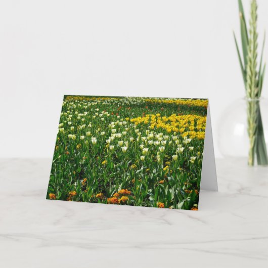 春の花 カード (正面)