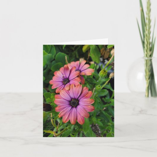 春の花 カード (正面)