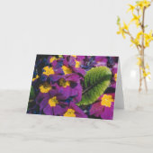 春の花 カード (黄色い花)