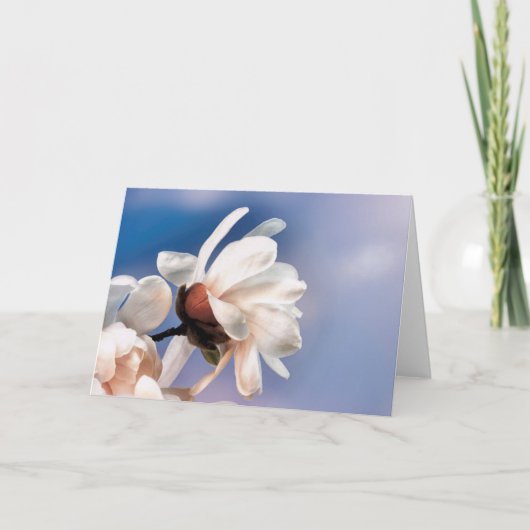 春の花 カード (正面)