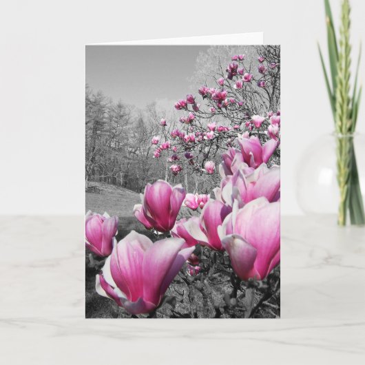 春の花 カード (正面)