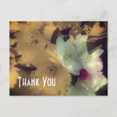 春の花 シェピア フラワー ありがとう ポストカード (正面)