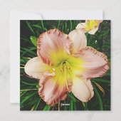 春の花 シーズンカード (裏面)