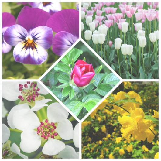 春の花 シール (正面)