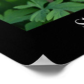 春の花、バリューポスター紙（マット） ポスター (角)