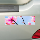 春の花 バンパーステッカー (車上)