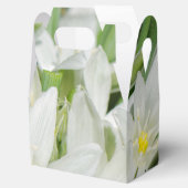 春の花 フェイバーボックス (オープン)