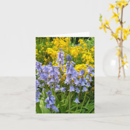 春の花、ブルーベルと壁花の写真 カード