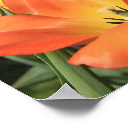 春の花 ポスター (角)