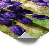 春の花 ポスター (角)