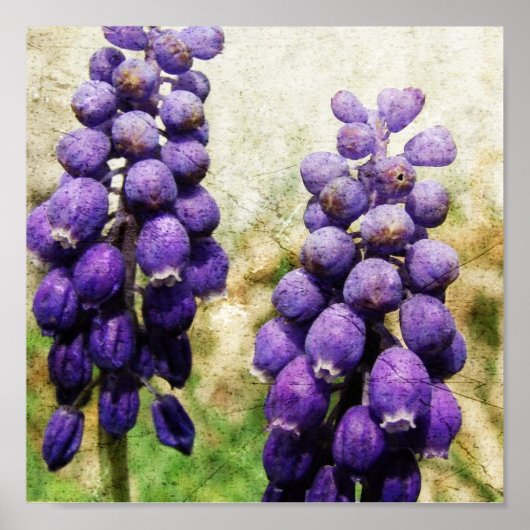 春の花 ポスター (正面)