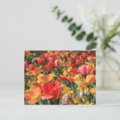 春の花 ポストカード (スタンド正面)