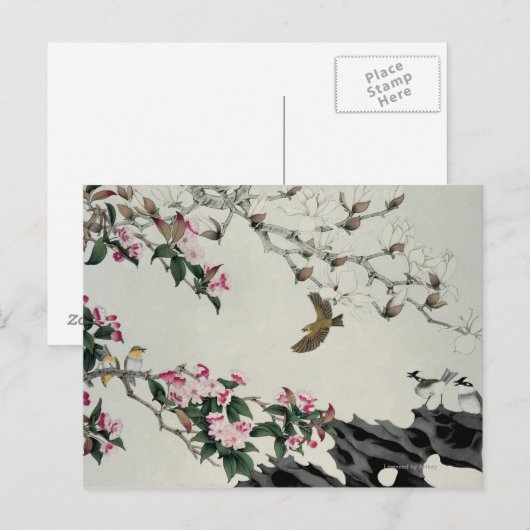 春の花 ポストカード (正面/裏面)