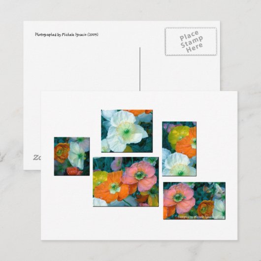 春の花 ポストカード (正面/裏面)