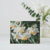 春の花 ポストカード (スタンド正面)