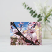 春の花 ポストカード (スタンド正面)