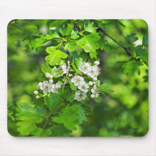春の花 マウスパッド (正面)