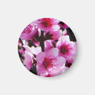 春の花 マグネット