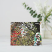 春の花、修道院の保護者 – ネパールポストカ ポストカード (スタンド正面)