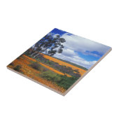 春の花（南アフリカ、ナマカランド） タイル (側面)