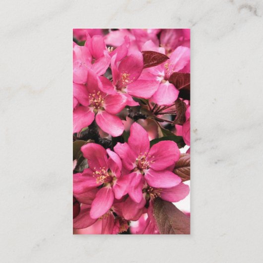 春の花 名刺 (裏面)