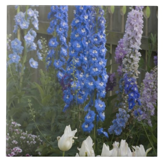 春の花，庭園の歩道，ジョージア2 タイル (正面)