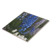 春の花，庭園の歩道，ジョージア2 タイル (側面)