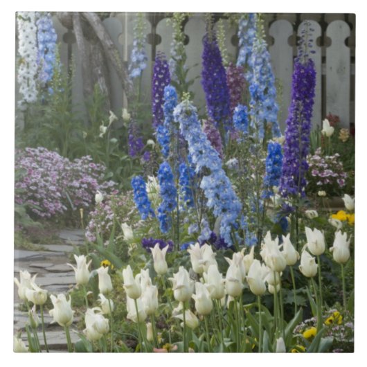 春の花，庭園の歩道，ジョージア タイル (正面)